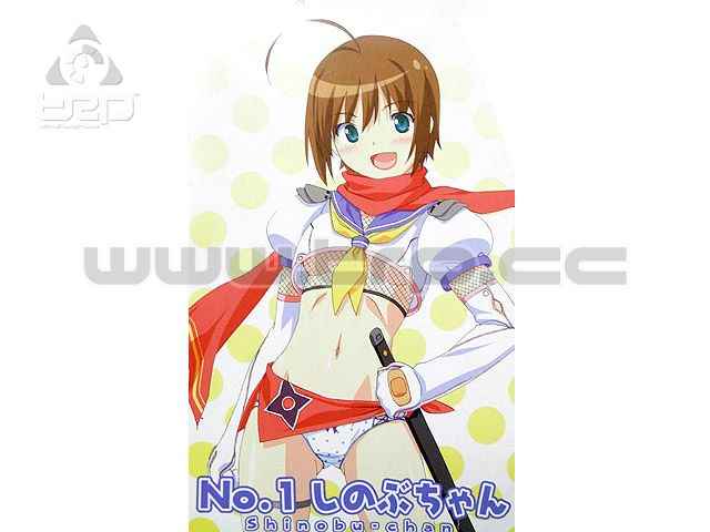 Figurine of the manga Shinobu-Chan nº1 (19cm of height) - imagen 9