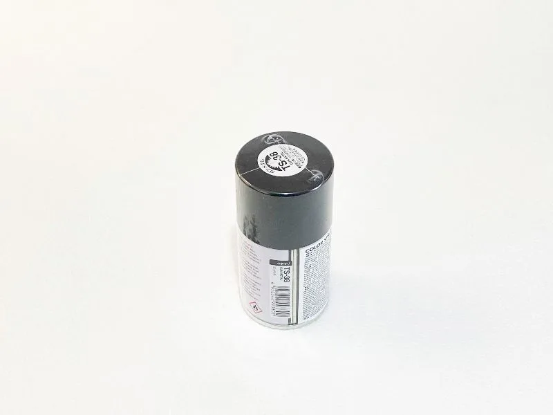 Peinture Tamiya TS-38 pour plastique, couleur Gun Metal