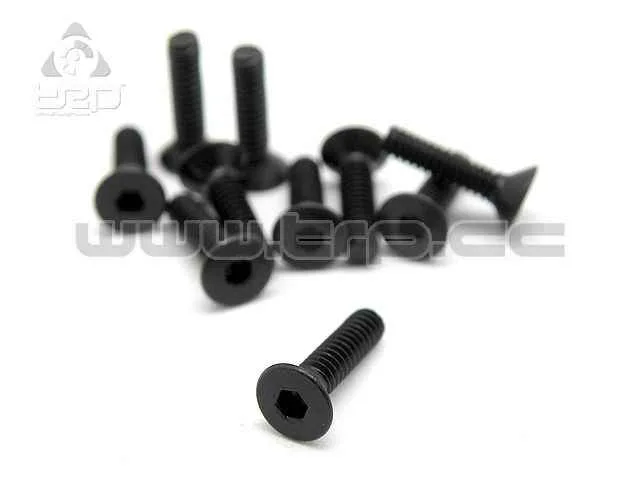 TRP M2x8 Countersunk Steel Hex Screw (10pcs)